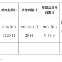 Ϊ����ծ�񣬿��ӽѴ�ɶ��������ֹɴ���Ѻ״̬