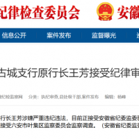 ����������Ҷ������ί�����飡