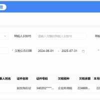 ˰Ϣʾ֤ȯǷҵ˰2248.89Ԫ
