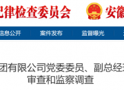 ���������ܻ�ɽ�ؼ�ί������