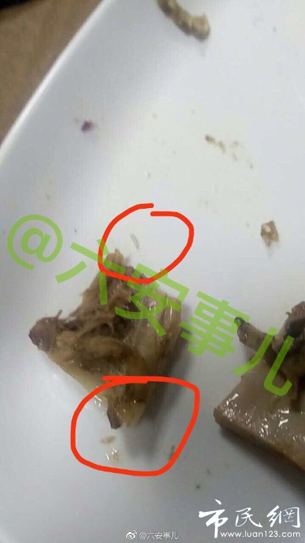 ec5d1c29ly1fgexa2fc6kj20if0wsjzh.jpg